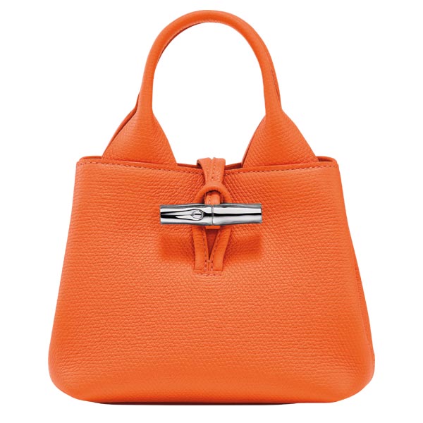 Bolso Roseau de Longchamp